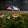 Central European Rally: Vince Ott Tanak. Neuville terzo. Disastro Ogier